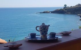Summer Paradise